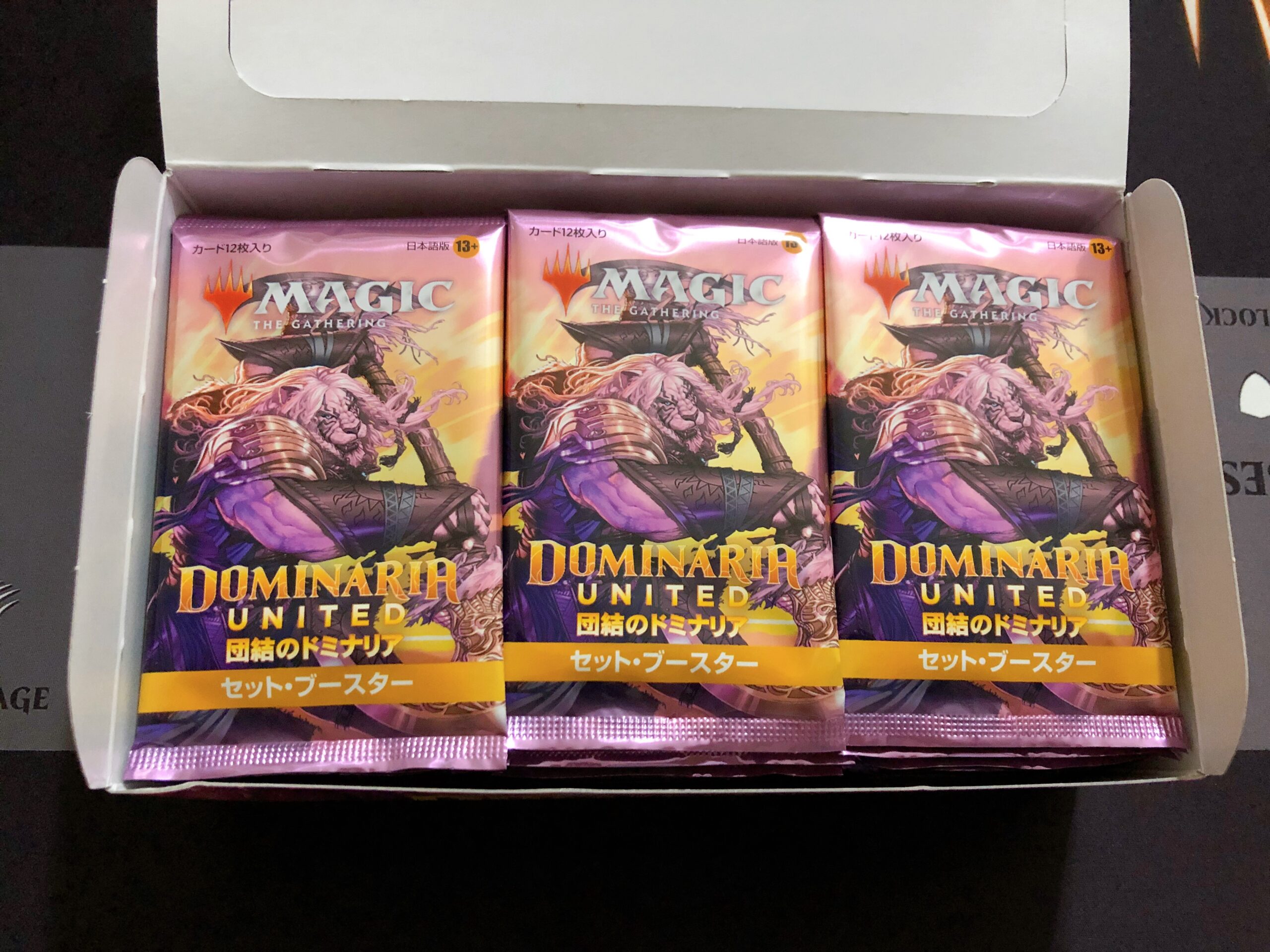 MTG 団結のドミナリア セットブースター 1BOX 日本語版 - luknova.com